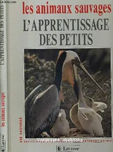 Apprentissage des petits (L')