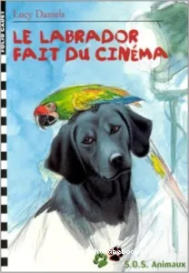 Labrador fait du cinéma (Le)