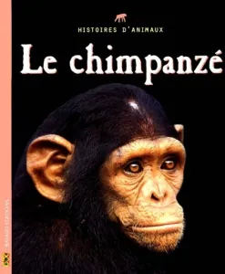 Chimpanzé (Le)