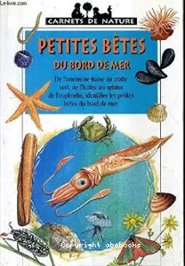 Petites bêtes du bord de mer