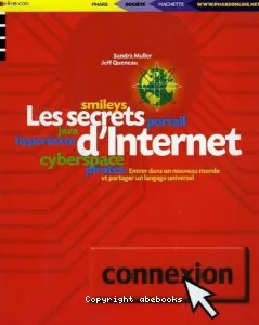 Secrets d'internet (les)