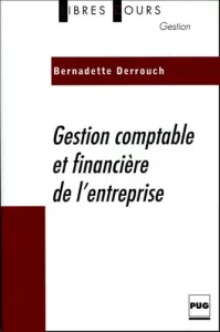 Gestion comptable et financière de l'entreprise