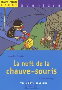 nuit de la chauve-souris (La)