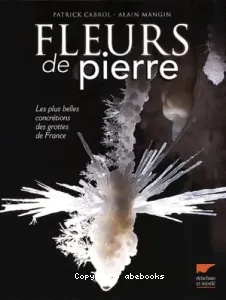 Fleurs de Pierre