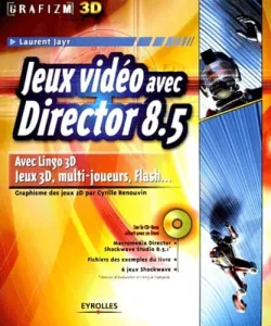 Jeux Vidéo avec director 8.5