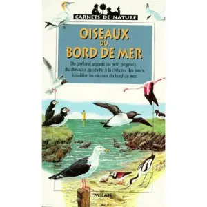 Oiseaux du bord de mer