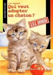 Qui veut adopter un chaton ?