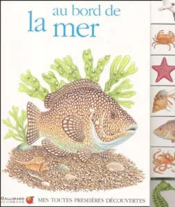 Au bord de la mer