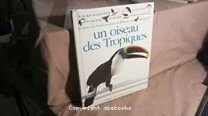 Un oiseau des Tropiques