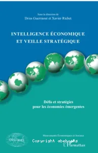 Intelligence économique et veille stratégique