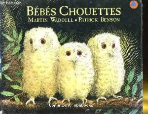 Bébés chouettes