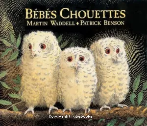 Bébés chouettes