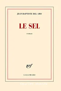 Le sel