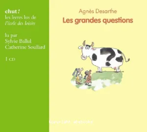 Grandes questions (Les)