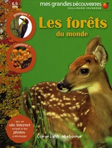 Les forêts du monde