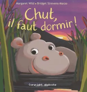 Chut, il faut dormir !