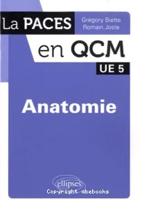 Anatomie UE5