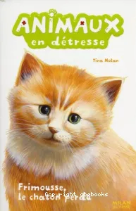 Frimousse, le chaton perdu