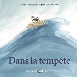 Dans la tempête