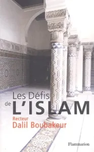 Défis de l'Islam (Les)