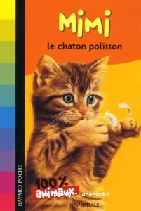 Mimi, le chaton polisson