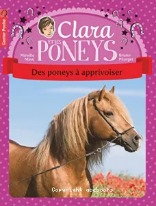 Des poneys à apprivoiser