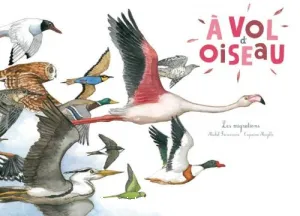 A vol d'oiseau