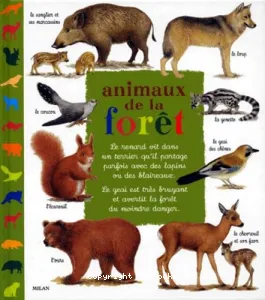 Animaux de la forêt