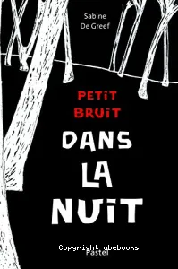 Petit bruit dans la nuit