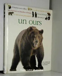 Qui suis-je? Un ours