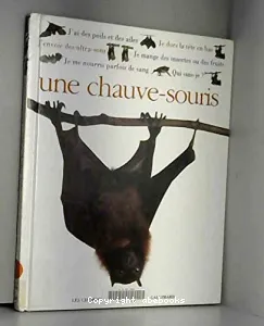 Qui suis-je? Une chauve-souris