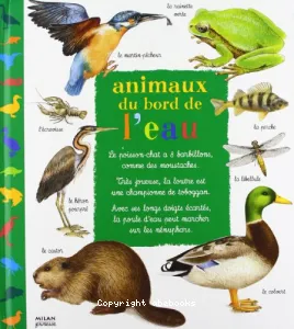 Animaux au bord de l'eau