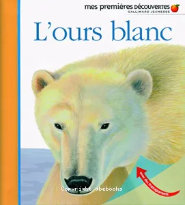 L'ours blanc