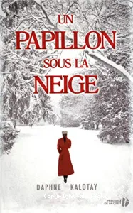 Un papillon sous la neige