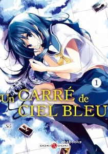 Un carré de ciel bleu