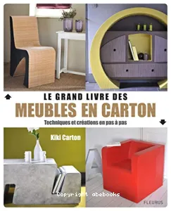 Le grand livre des meubles en carton