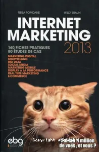 Internet marketing 2013