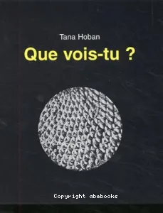 Que vois-tu ?