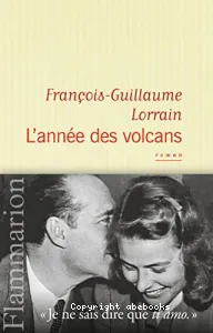 L'année des volcans