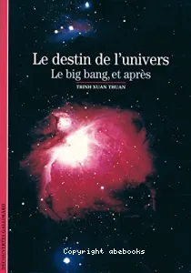 Destin de l'Univers (Le)