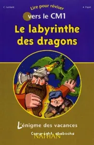 Le labyrinthe des dragons