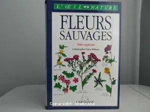 Fleurs sauvages