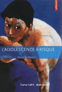 adolescence à risque (L')