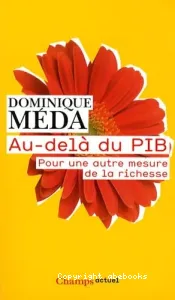 Au-delà du PIB