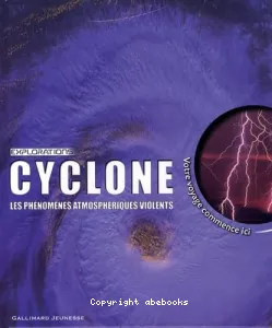 Cyclone