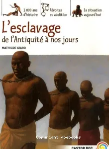 Esclavage, de l'Antiquité à nos jours (L')