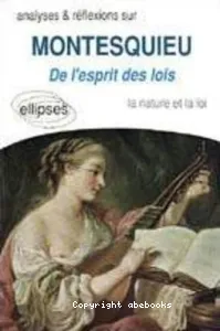 Analyses et réflexions sur Montesquieu, De l'Esprit des lois