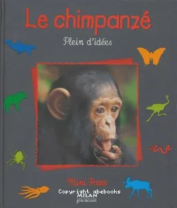 chimpanzé (Le)