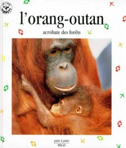 Orang-outan (L')