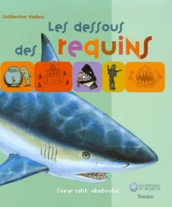 dessous des requins (Les)